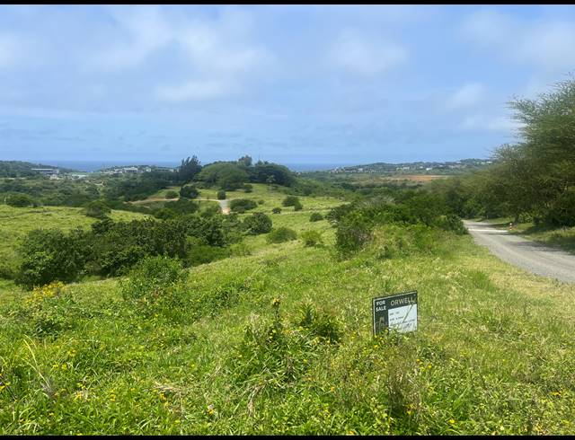 20,113M² FARM FOR SALE IN BALLITO CENTRAL